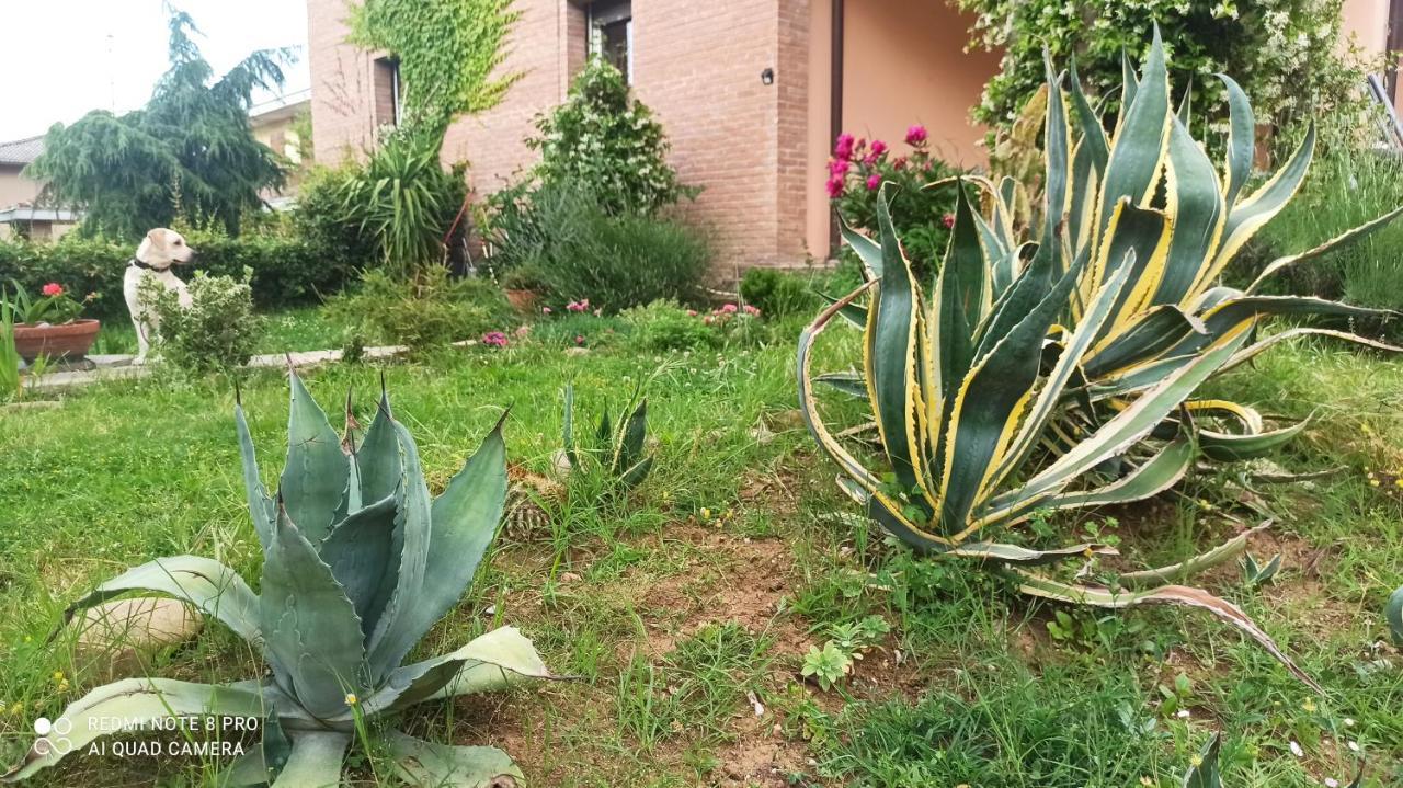 Casa Vincenzo 130 Mq Con Portico Ed Ingresso Esclusivo Dal Giardino Villa Felino Buitenkant foto