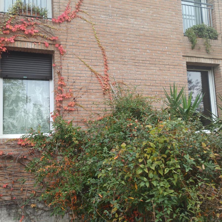 Casa Vincenzo 130 Mq Con Portico Ed Ingresso Esclusivo Dal Giardino Villa Felino Buitenkant foto