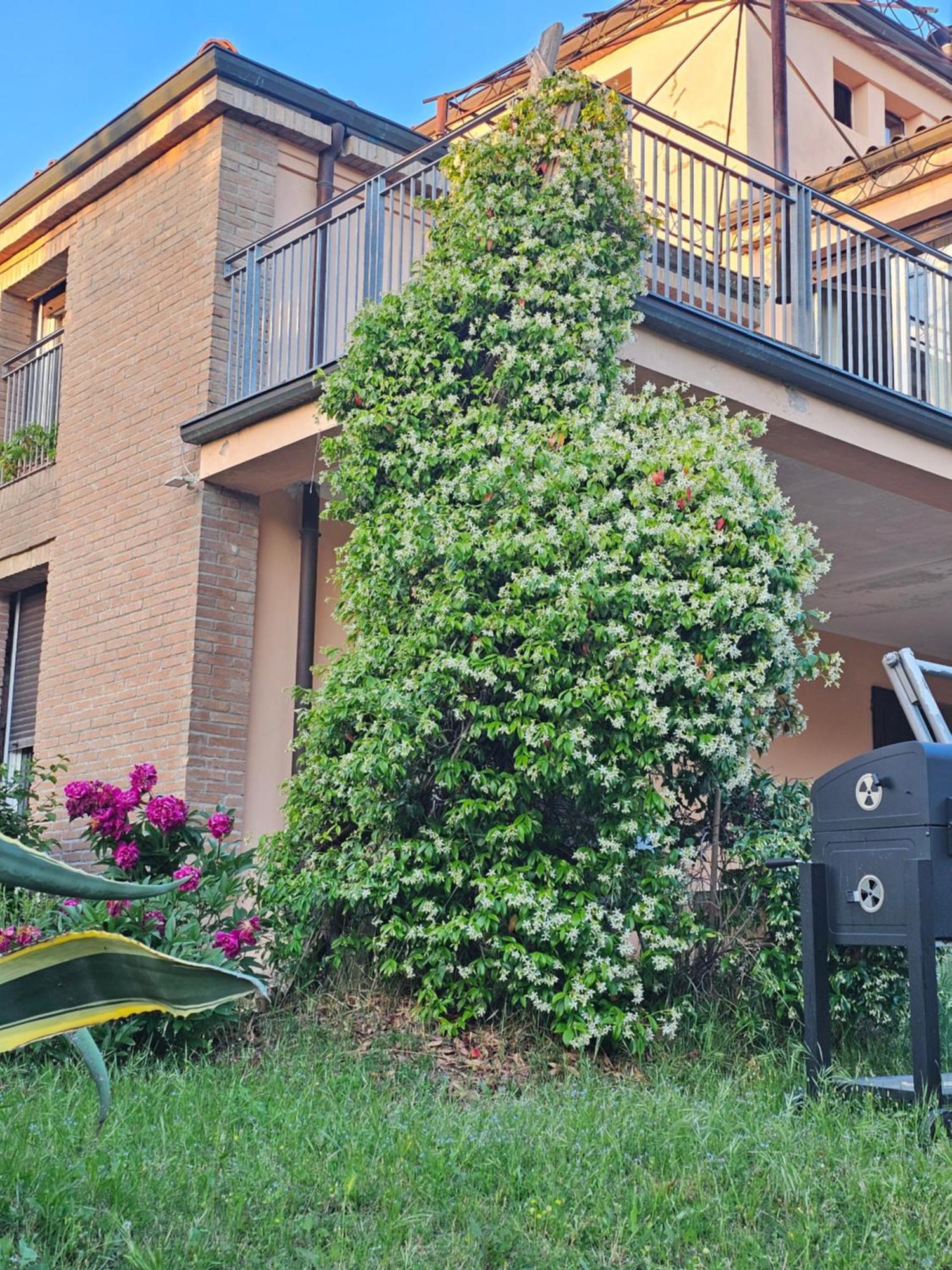 Casa Vincenzo 130 Mq Con Portico Ed Ingresso Esclusivo Dal Giardino Villa Felino Buitenkant foto