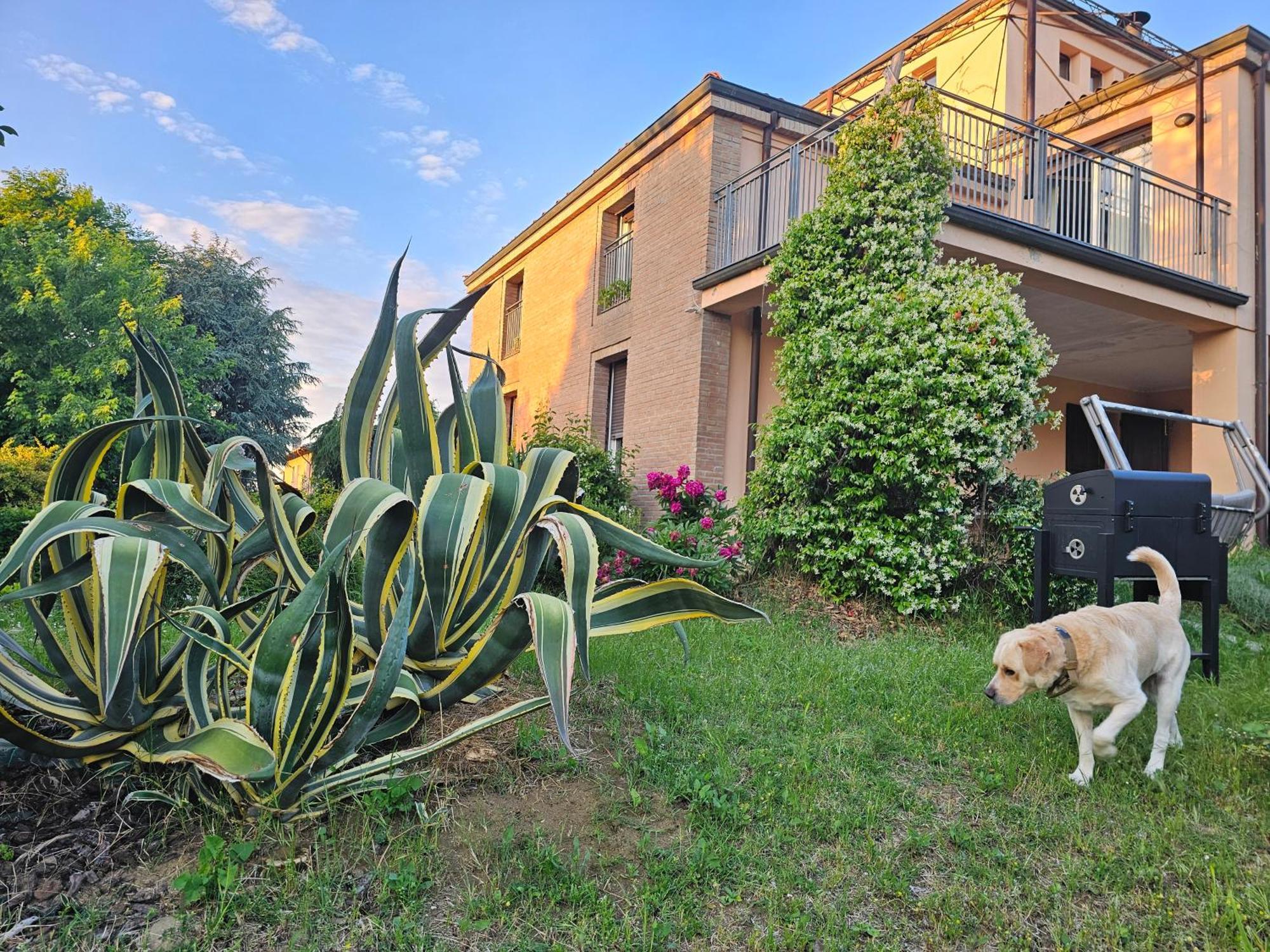 Casa Vincenzo 130 Mq Con Portico Ed Ingresso Esclusivo Dal Giardino Villa Felino Buitenkant foto